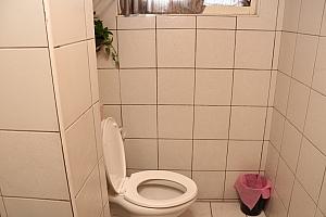 シャワールームやトイレも清潔です