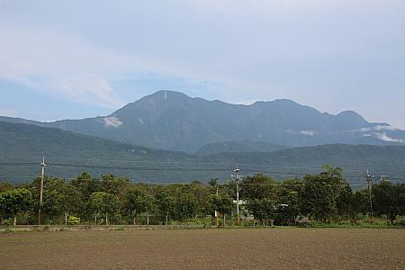 部屋の名前にもなっている鯉魚山（左）と大檜山（右）