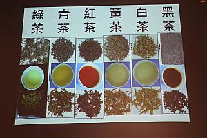 お茶の発酵度で分類される6種類
