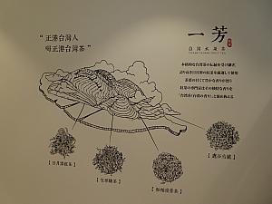 壁にはお店で使用している茶葉の産地が描かれています