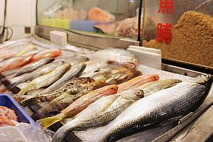 日本では見かけないお魚もちらほら