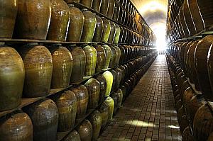 埔里はおいしい水の故郷。埔里酒廠で醸造の様子を見学