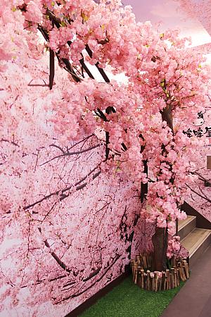 迷いようがないほどの桜感!お店に向かう時はこの桜を探してくださいね。