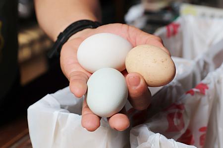 卵を選ぶ時、色を気にしていませんか？でも、それって栄養価的にはあんまり関係ないそう