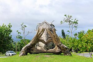 壯圍沙丘生態園區の屋外が庭園美術館といった趣に