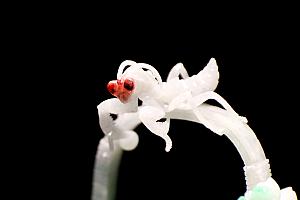 数々の芸術品が並ぶ店内は美術館のよう！