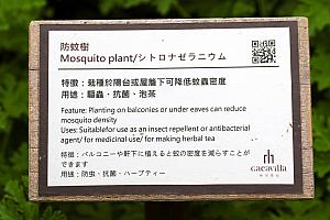 園内にはハーブがたくさん！日本語の紹介もありますよ！