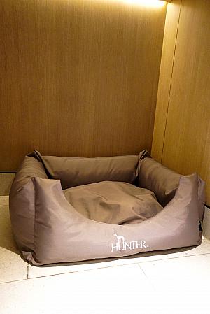 ペットカメラ装備のワン＆ニャンの個室