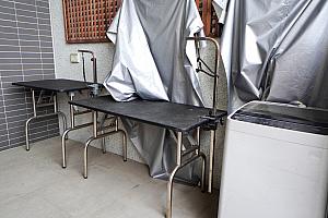 屋外にはドッグランとシャワー＆ドライヤースペース(洗濯機付き)もあり