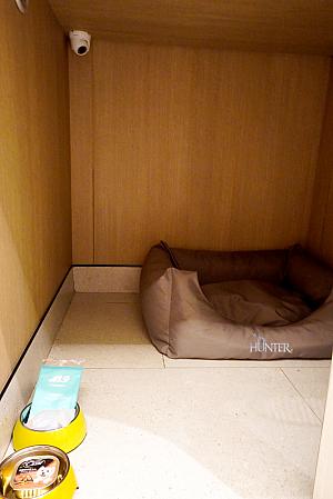 ペットカメラ装備のワン＆ニャンの個室