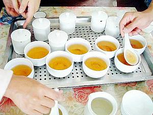 中国茶へのいざない　その2 茶 お茶 茶摘み ウーロン茶発酵