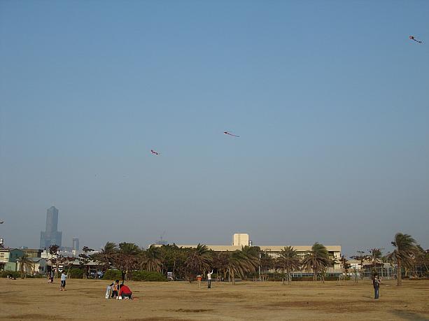 公園内の広場には凧上げを楽しむ人がたくさんいました。