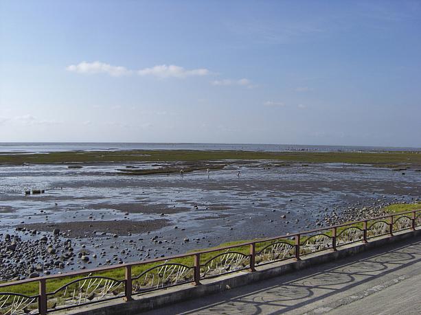 ここは台中県清水鎮にある「高美湿地」という干潟。