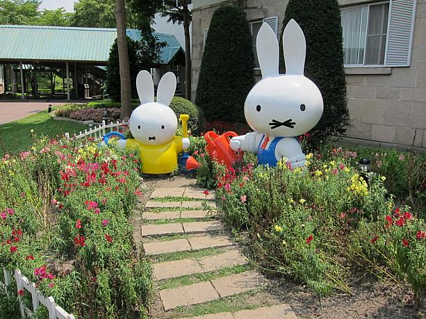 ミッフィーちゃんとミッフィーパパが仲良く植物に水やり～