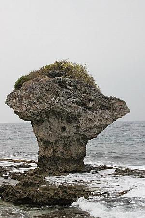 花瓶岩