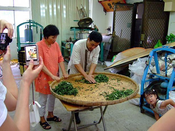 茶農家の方のお手本。腰が入っています