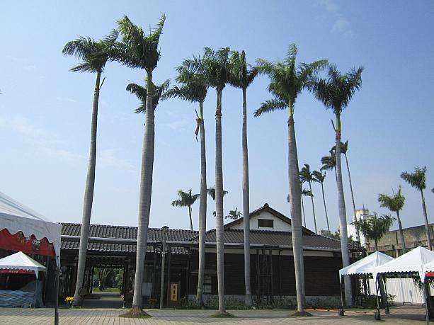 椰子の木がシンボルの「衡道堂」は日本時代からの建物で、当時からの板壁がキレイ。