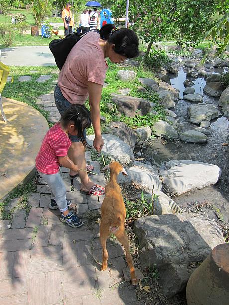 こちらの農園の動物達は人懐っこくていやされる～！