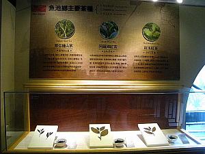 魚池にある紅茶の樹の説明、原山種、アッサム種、改良種の変化がわかります