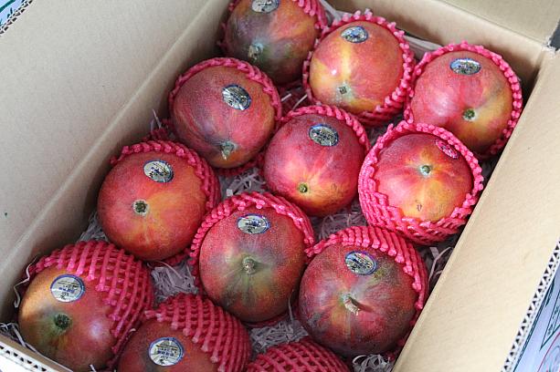 マンゴーフェスティバルに出す予定だった見るからにおいしそうなマンゴーも超特価で特別に売ってくださいました！
