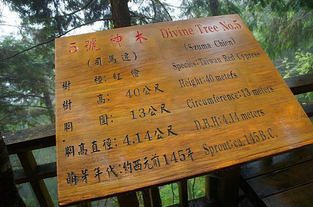 説明を見るとなんと！紀元前145年のもの！樹齢2000年以上です！！！