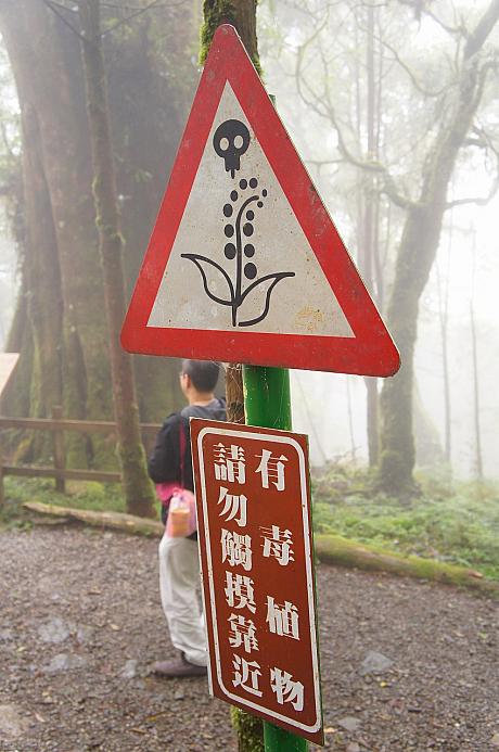 ちょっと先には有毒植物注意の看板も！