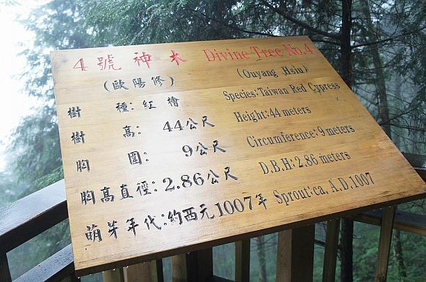 神木にはひとつひとつ説明書きが書かれています☆そして樹齢と同じ時代に生きた歴史上の人物の名前がつけられているのも面白いですよね！