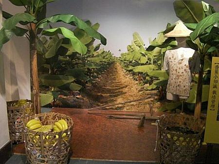 バナナの産地で有名な高雄の旗山を紹介する展示コーナーがありました。