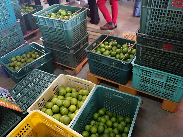 台湾で栽培されるレモンは主にユーレカ種。緑色の皮が特徴です。日本で一般的な黄色いレモンは台湾ではあまり見かけません。