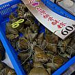 【台湾グルメ】端午節に向けて、台湾粽(ちまき)15種類を食べ比べ！ ちまき チマキ 粽 端午節 ドラゴンボート 南門市場 香包屈原