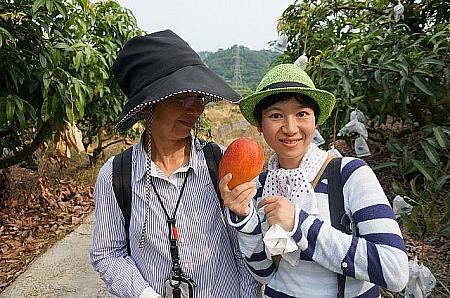 お母さんはおいしそうなマンゴーが採れてうらやましい～という表情かな？