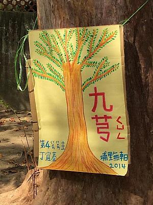老樹のポスター