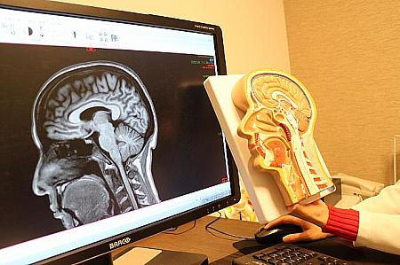 検査の翌日、医師より結果をうかがう。今回は首から脳のMRIを体験。3D画像による解りやすい説明でした