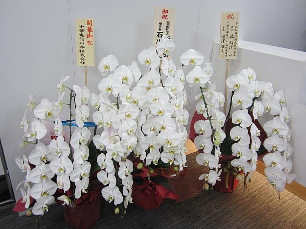 お祝いのお花もたくさん届いています。なんと中華電信からも！