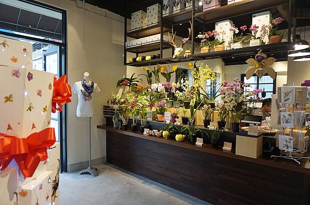 いい匂いプンプンのきれいな蘭の花が並ぶお店。
台南といえば、蘭も有名ですよね。