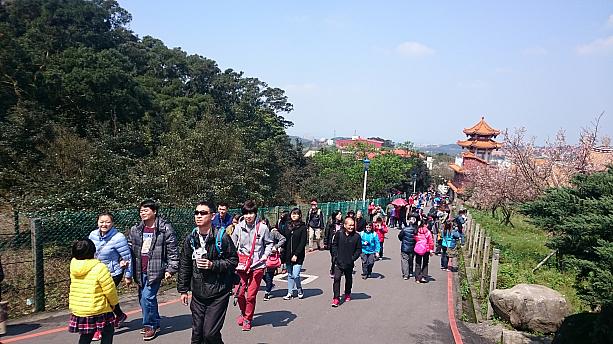 この時期だから余計にたくさんの観光客が訪れていました。中国大陸からの旅行者はなぜだか少ないらしく、台湾中南部、香港、マレーシアから足を運んで来るそうです