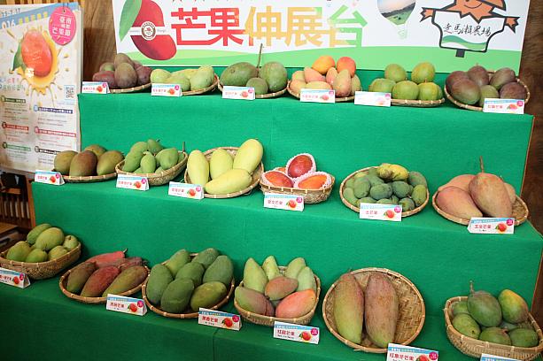 会館内では、台湾で命名されている16種のマンゴーの展示があったり