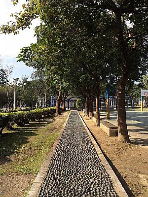 栄星公園も台北市民の憩いの場として愛されています！