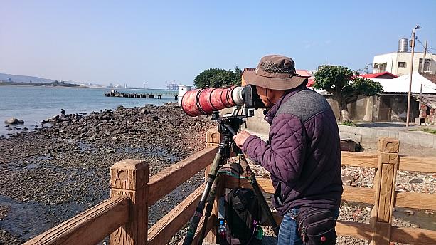 大きなカメラで撮っている方がいたので、何を撮っているのか尋ねてみたところ、鳥が魚を捕らえる瞬間や羽を広げて海に降りてきた瞬間を撮っているそう