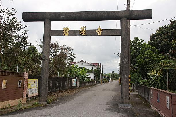 今は碧蓮寺という名になっていますが、日本時代は神社だったところで、鳥居はそのままなんです