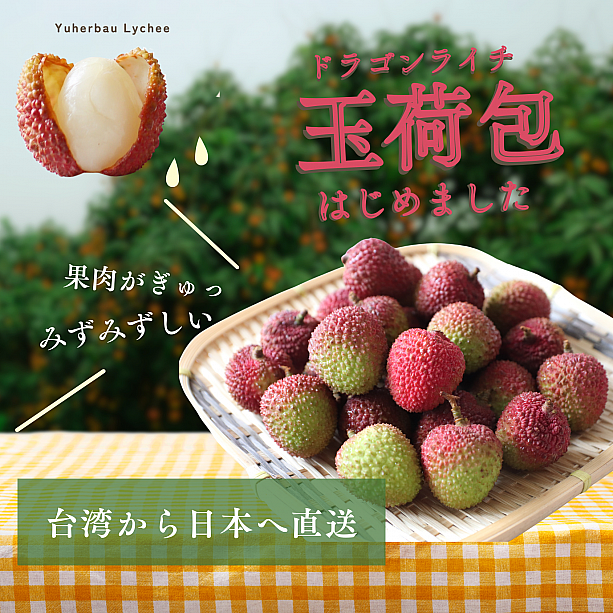 【台湾フルーツ通販】マンゴー・玉荷包・黒葉ライチの違いと選び方｜日本へ空輸直送 マンゴー 台湾マンゴー アップルマンゴー 愛文マンゴー 愛文芒果 芒果 ライチ ドラゴンライチ 荔枝 玉荷包 玉荷包荔枝 黒葉ライチ 黑葉荔枝 お中元 夏の風物詩 台湾 フルーツギフト台湾フルーツ