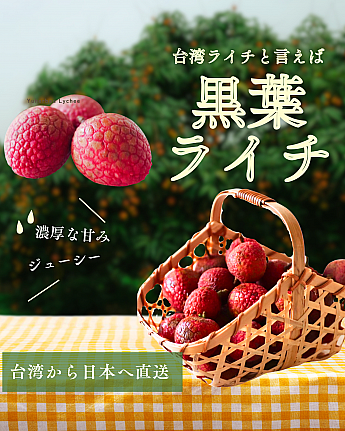 【台湾フルーツ通販】マンゴー・玉荷包・黒葉ライチの違いと選び方｜日本へ空輸直送 マンゴー 台湾マンゴー アップルマンゴー 愛文マンゴー 愛文芒果 芒果 ライチ ドラゴンライチ 荔枝 玉荷包 玉荷包荔枝 黒葉ライチ 黑葉荔枝 お中元 夏の風物詩 台湾 フルーツギフト台湾フルーツ