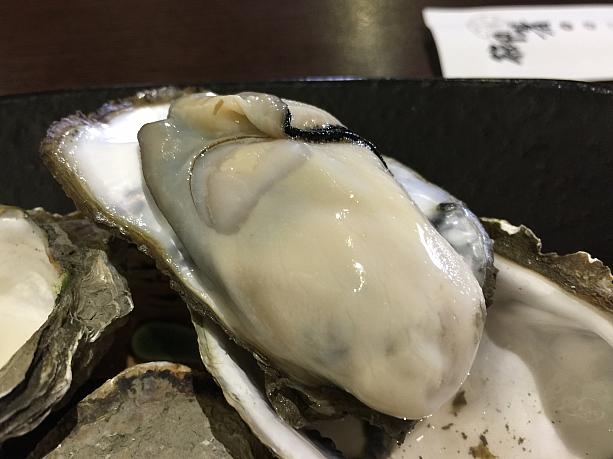 うわっ♪台湾の牡蠣は小さいのばかりじゃないですよ～