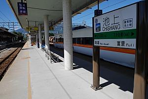 鉄道マニアに人気の日本製特急電車プユマ号