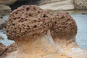 蜂の巣岩と言われていますが、マッシュルームですよね