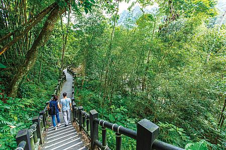 観光客の方にはあまり知られていないスポット「蓬莱渓溪自然生態園区」