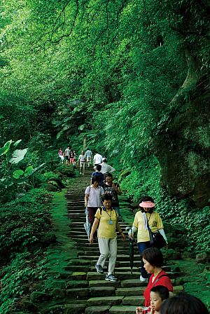 【Meet Colors!台湾】いきいきとした森林の恵みを感じるグリーン「叁山」