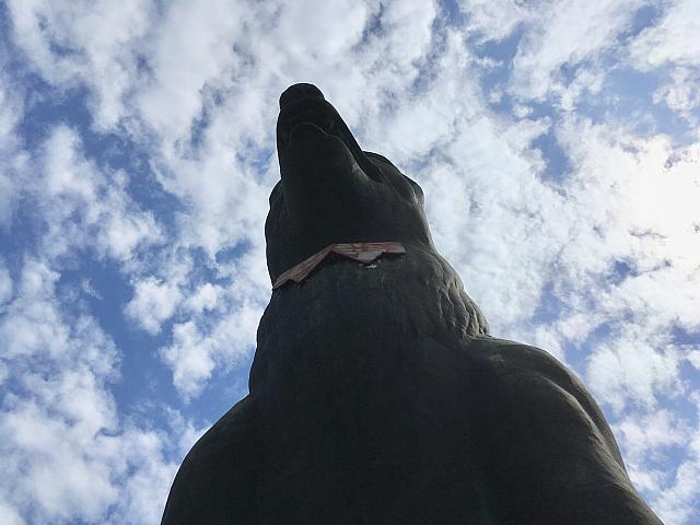 アジア最大とも言われる巨大な犬の銅像がある廟に行ってきました！ | 台北ナビ