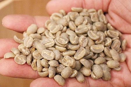 ロースト前の生のコーヒー豆は検査証明書と日本での検査が必要です！