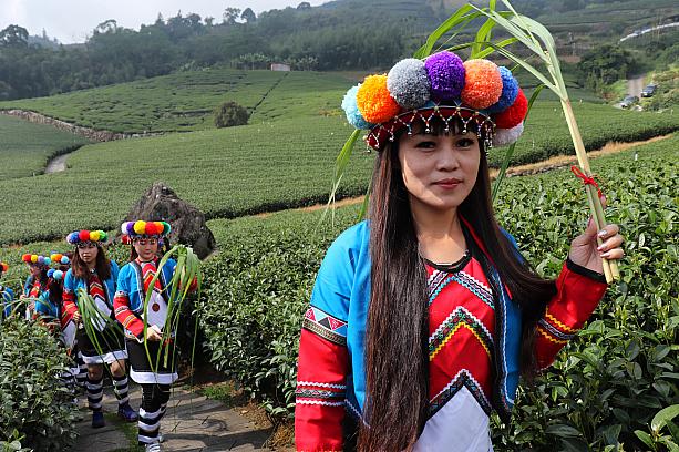 式の前日には、台湾茶の産地を代表する阿里山の茶畑で原住民式結婚式を体験。